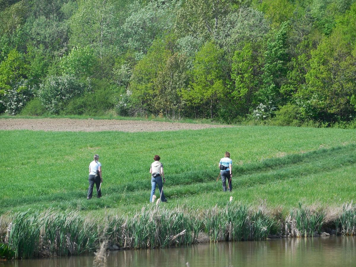 Pension "Der Sulzbachhof" Lehrberg Esterno foto